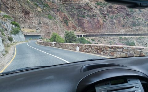Private Tour of Cape of Good Hope, Penguins, and Kirstenbosch