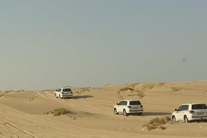 Sharing or Private Safari, Sand Boarding, Camel Ride, inland Sea Quick swim