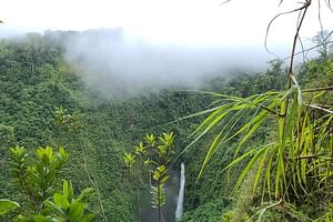 Full-Day Vara Blanca Hike Tour