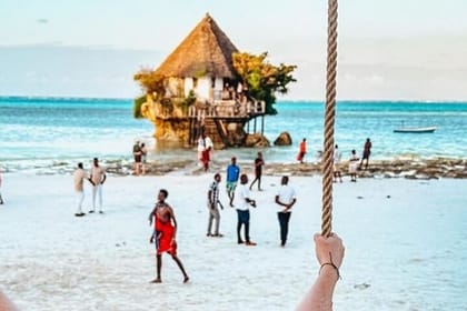 Jozani Forest Tour and Lunch at Rock Restaurant in Zanzibar