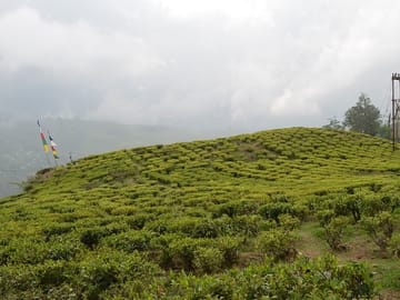 Cultural Tour of Colonial Cities and Tea Estates in Darjeeling