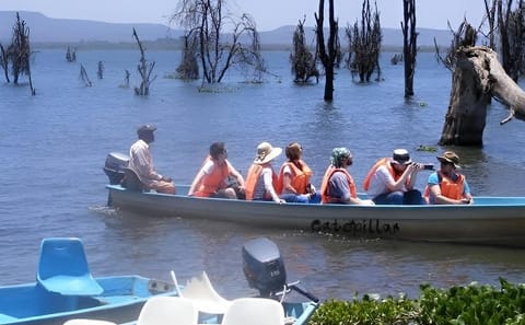7-Day Wildebeest Migration Safari: Amboseli & Masai Mara