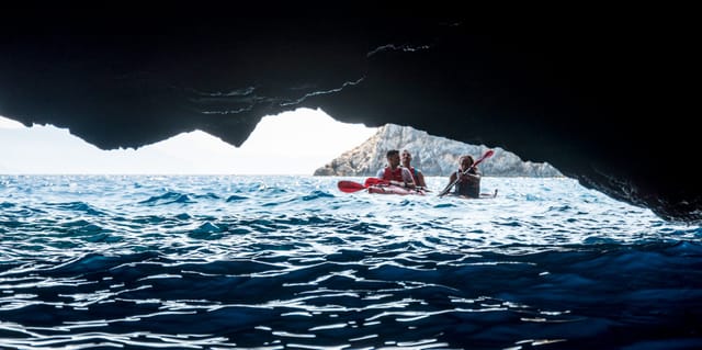 Sea Caves Half Day Tour