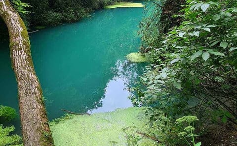 Eco-Trail Adventure Along the Zlatna Panega River in Bulgaria