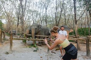 Khao Lak: 1-Hour Elephant Sanctuary Eco-Journey with Shuttle