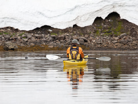 Kayaking in Hornstrandir gives you great opportunity to explore the wildlife