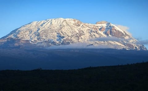 5-Day Trekking Tour on Marangu Route to Mt. Kilimanjaro