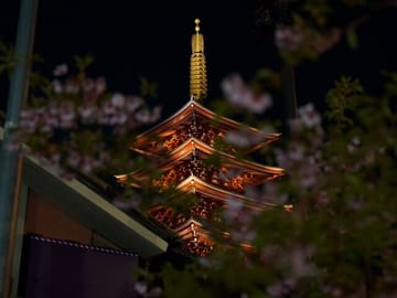 Asakusa Night Evening Walking Tour with English-Speaking Guide