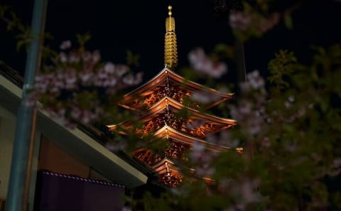 Asakusa Night Evening Walking Tour with English-Speaking Guide