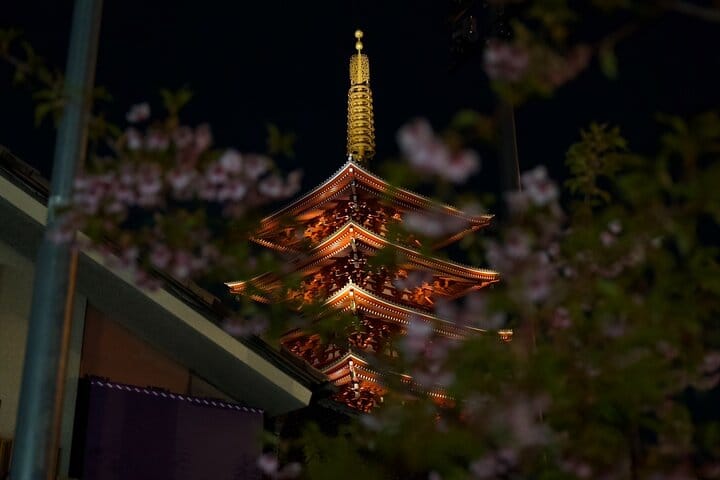 Asakusa Night Evening Walking Tour with English-Speaking Guide 3