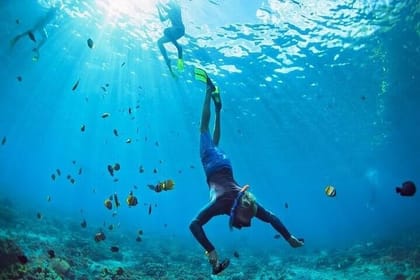 Tiran Island Snorkeling Tour with Transfers and Lunch Included