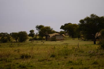 Luxury Tent Experience in Anantya Serengeti, Tanzania