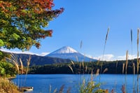 Tokyo, Mt. Fuji, Kyoto and Nara 6 Days Private Tour 10