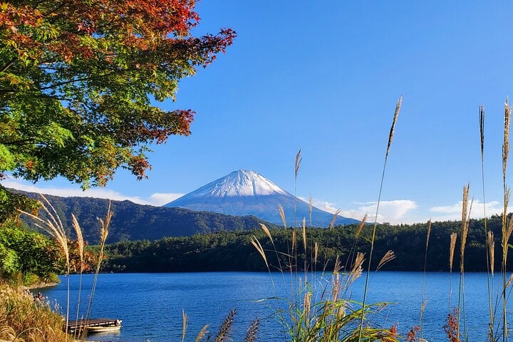 Tokyo, Mt. Fuji, Kyoto and Nara 6 Days Private Tour 10