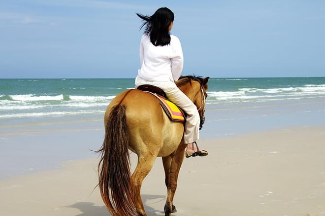 Side: Horse Riding on the Beach 4