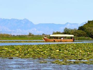 The delicate water lilies of Lake Skadar create a dreamlike scene on our boat tour.