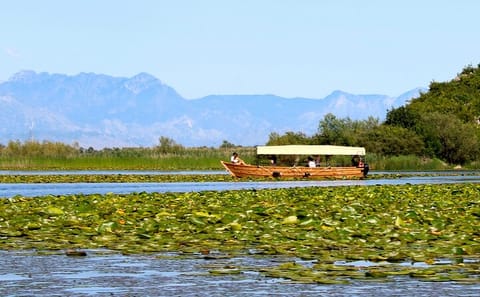 Guided Boat Tour in Skadar Lake National Park, Montenegro