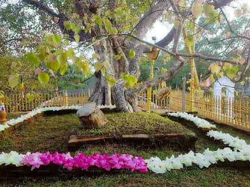 Aukana-and-Anuradhapura-Day-Tour-From-Polonnaruwa-2