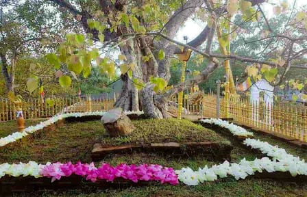 Aukana and Anuradhapura Cultural Day Tour from Polonnaruwa