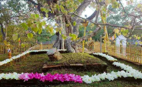 Aukana and Anuradhapura Cultural Day Tour from Polonnaruwa