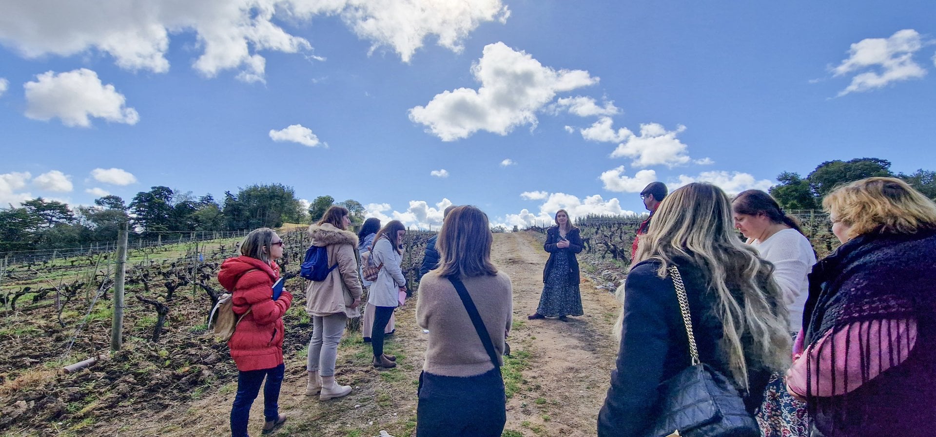 Visitors walking between the vines at a winery in Azeitão, near the Arrábida hills