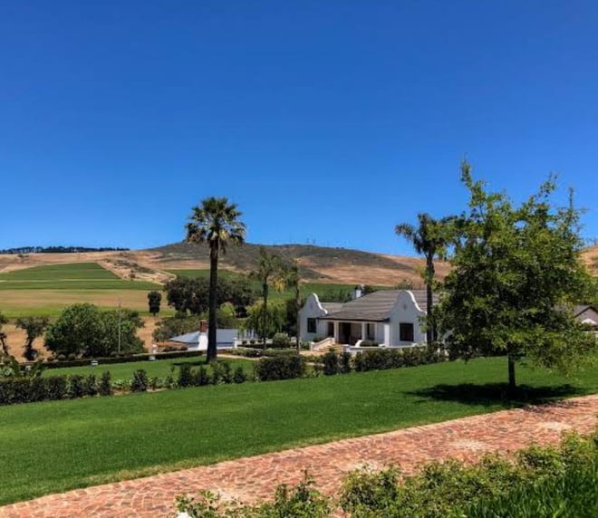 CAPE TOWN  :FULL-DAY  WINE  TASTING TOUR WITH  WINE  TRAM - Photo 20