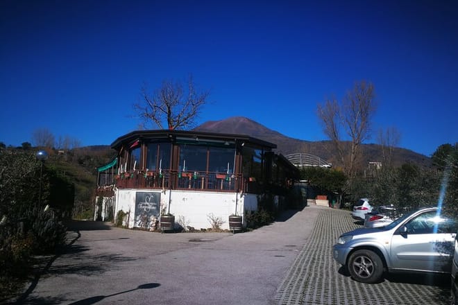 Group excursion for wine & food tasting Cantine del Vesuvio. (4 hours) 10
