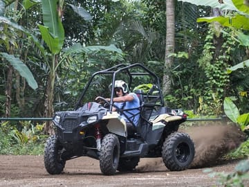 Jungle Buggy Adventure