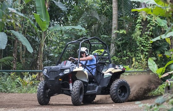 Jungle Buggy Adventure and Ubud Tour
