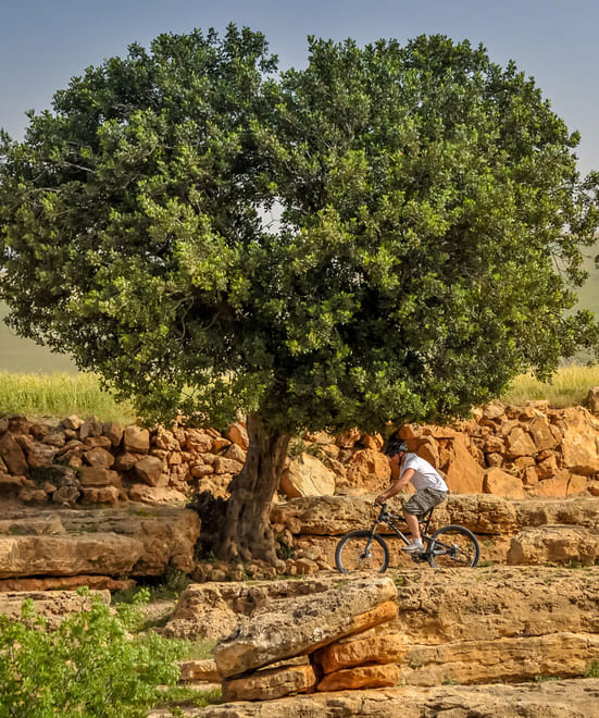 1 Day Agafay Desert Bike Experience | Private & Luxury 10