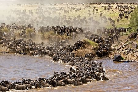 3 Days Private Maasai Mara Wildlife Safari in Kenya