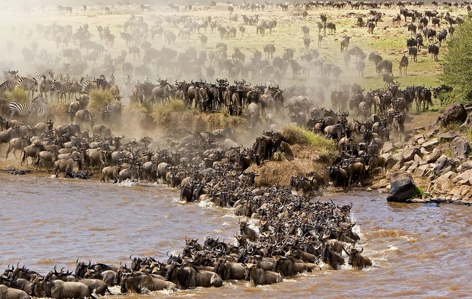 Private 3-Day Safari in Maasai Mara National Reserve, Kenya