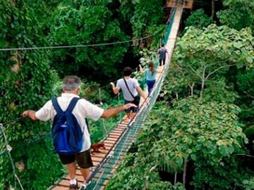Pmal-01 : Sandoval’s Secrets- 2 Days in the Tambopata Jungle