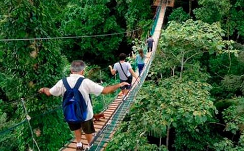 Three-Day Jungle Adventure Tour in Puerto Maldonado
