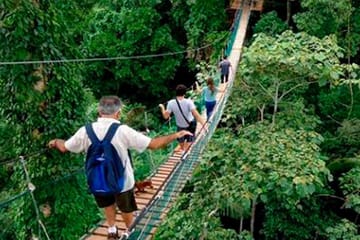 Three-Day Jungle Adventure Tour in Puerto Maldonado