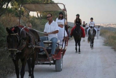 Horse riding in Heraklion Crete (from Heraklion, Hersonissos and near by areas) photo 2