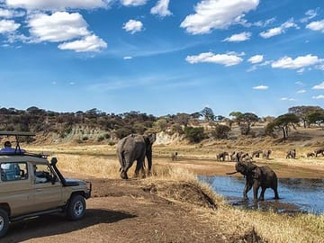Lake Manyara safari