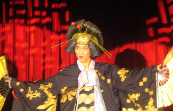 Calypso Cabaret: Dazzling Lights & Performances