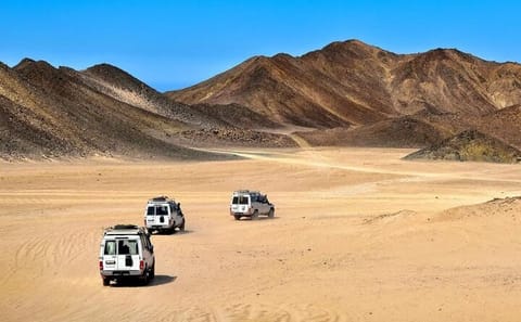 Jeep Safari Adventure and Dinner in Marsa Alam