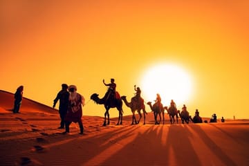 6 hours Premium Desert Safari in Dubai Red Dunes