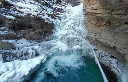 Banff Wildlife Explore and Johnston Canyon Icewalk Tour