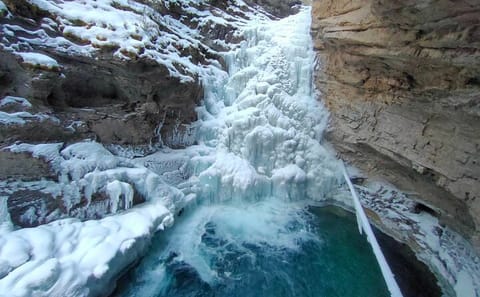 Wildlife and Icewalk Adventure Tour in Banff National Park