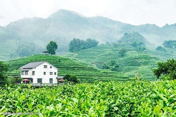 Wuzhen Water Town Day Tour from Hangzhou with Boat Ride