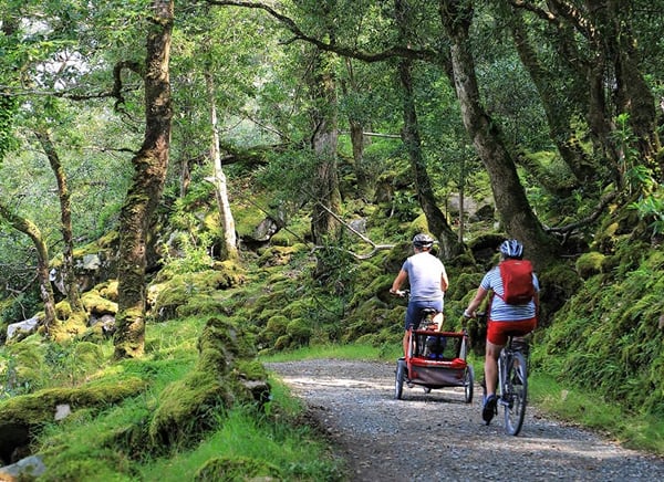 Things to do in Donegal