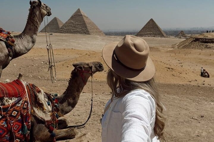 Camel with pyramids view