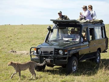 8-Day Wildlife Safari Adventure in Kenya's Laikipia County