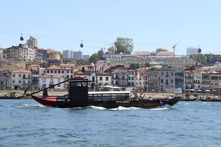 Porto City Tour Half Day - Private
