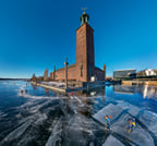 Private VIP Stockholm City Tour – Car, Guide, Snacks & Water Incl 5