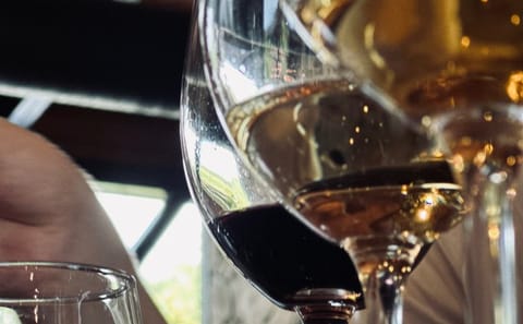 Culinary Dinner Experience with Sommelier in Tbilisi