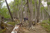 Carbajal Hill Trekking from Ushuaia